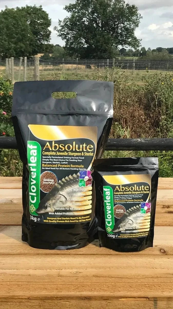 Absolute Sturgeon and Sterlet Fish Pellets Pond Supplies Pond Supplies Essex