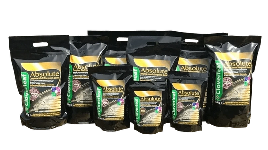 Absolute Sturgeon and Sterlet Fish Pellets Pond Supplies at Pond Supplies Essex Online Store 