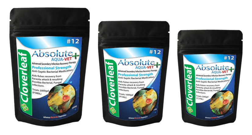 Anti-septic Bacterial AquaVet Medical Treatment Pond Supplies Cloverleaf