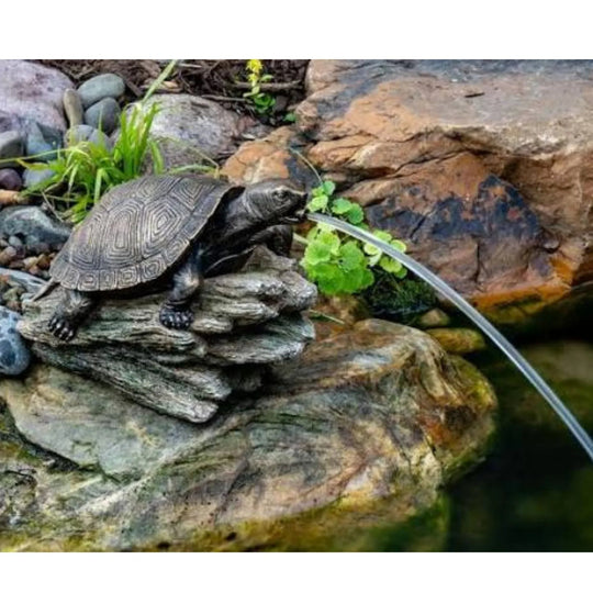 Aquascape Turtle on Log Pond Water Spitter Pond Water Spitter at Pond Supplies Essex Online Store 