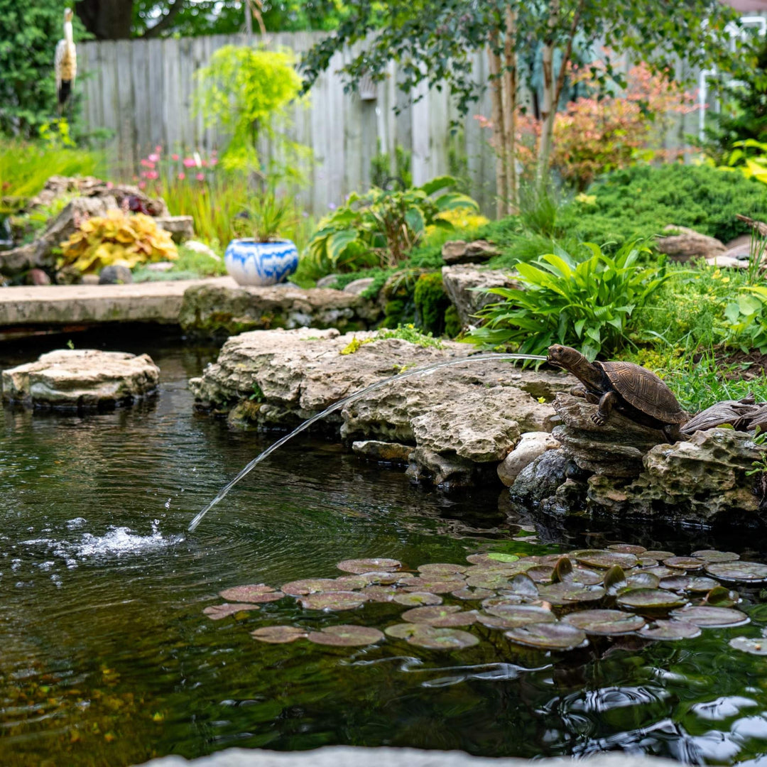 Aquascape Turtle on Log Pond Water Spitter Pond Water Spitter at Pond Supplies Essex Online Store 