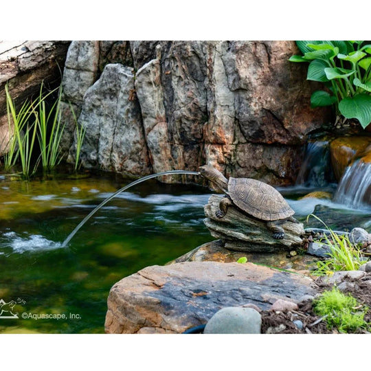 Aquascape Turtle on Log Pond Water Spitter Pond Water Spitter at Pond Supplies Essex Online Store 