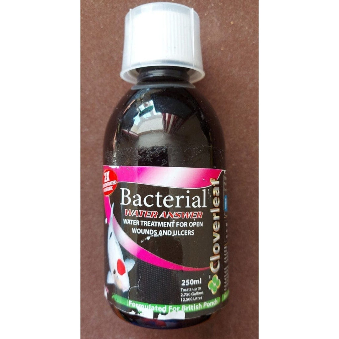Cloverleaf 2x Concentrate Bacterial Answer Pond Supplies at Pond Supplies Essex Online Store 