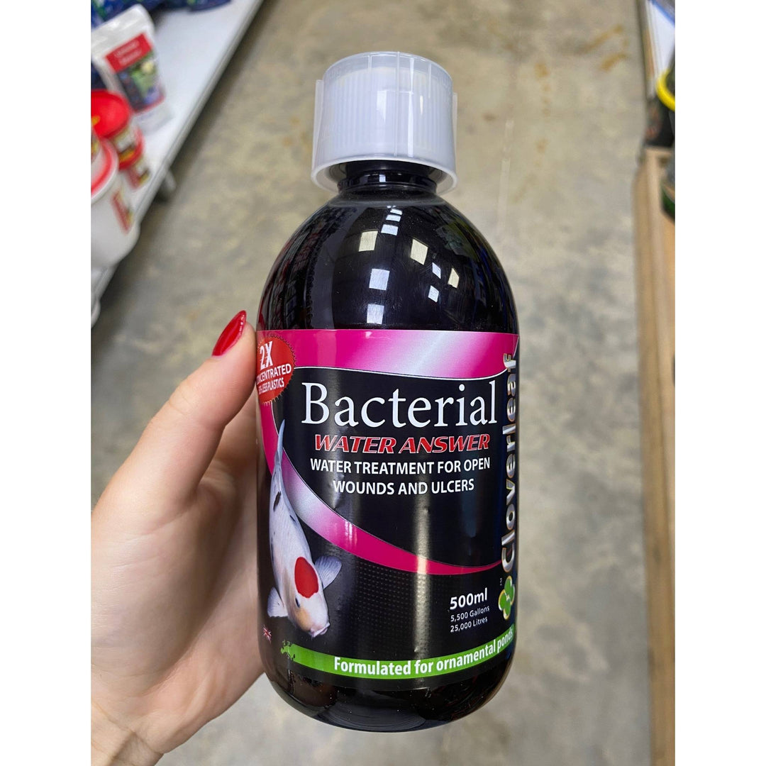 Cloverleaf 2x Concentrate Bacterial Answer Pond Supplies at Pond Supplies Essex Online Store 