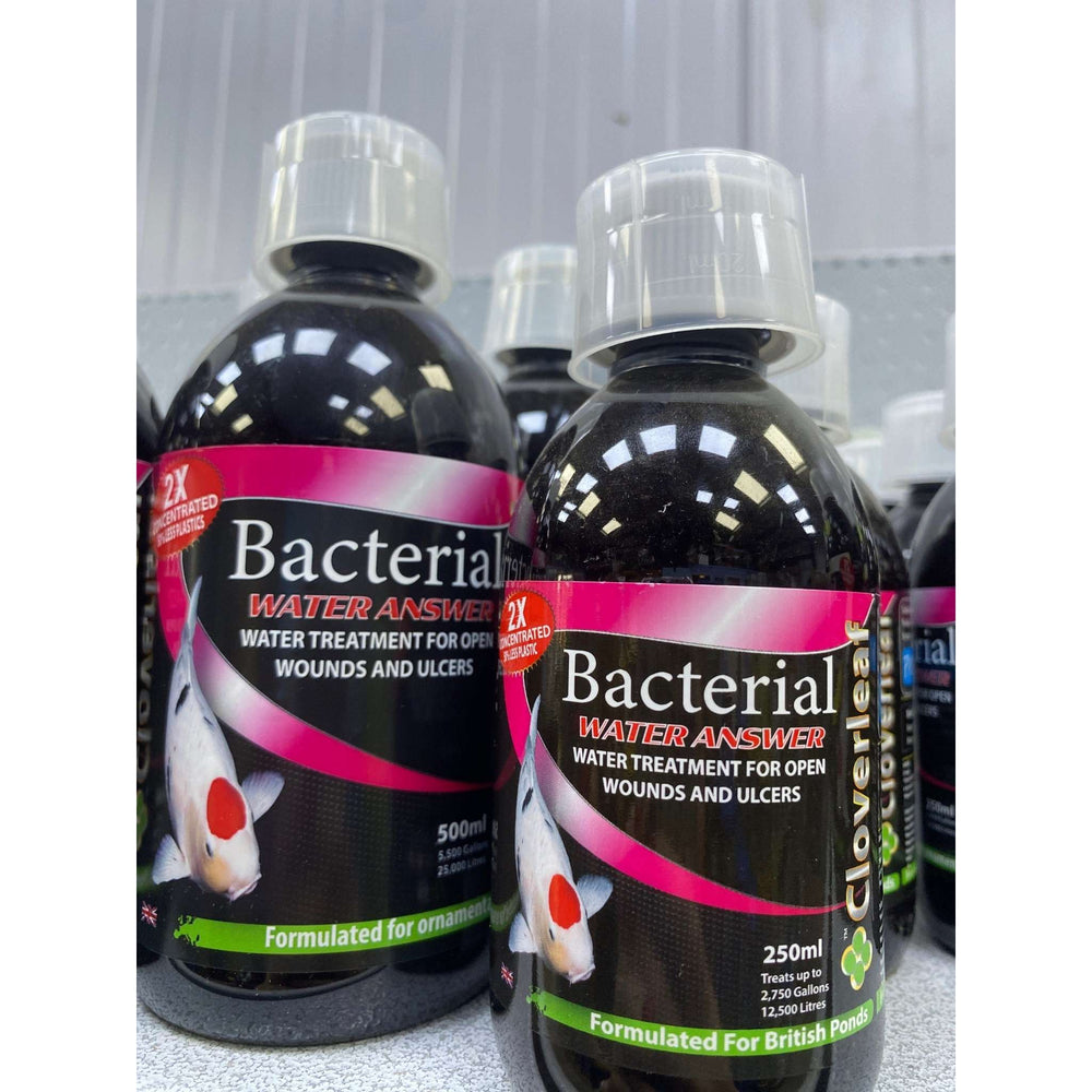 Cloverleaf 2x Concentrate Bacterial Answer Pond Supplies at Pond Supplies Essex Online Store 