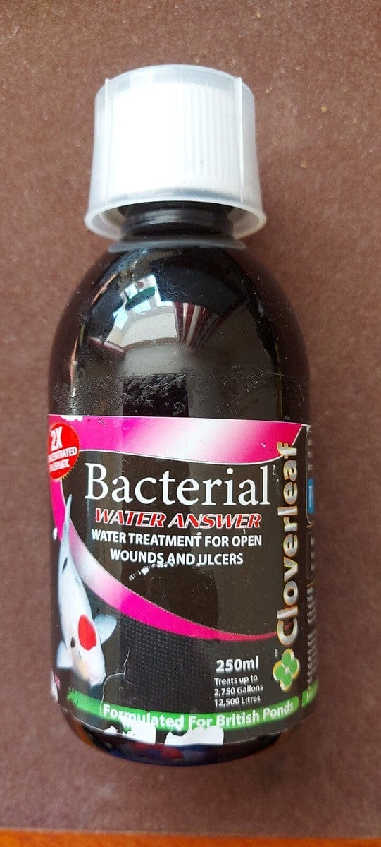Cloverleaf 2x Concentrate Bacterial Answer Pond Supplies Pond Supplies Essex