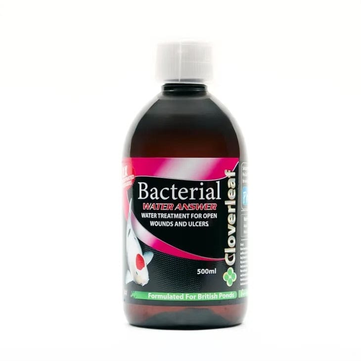 Cloverleaf 2x Concentrate Bacterial Answer Pond Supplies Pond Supplies Essex