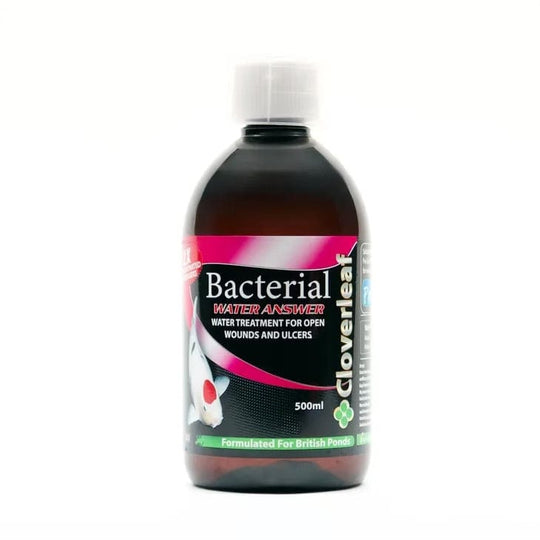 Cloverleaf 2x Concentrate Bacterial Answer Pond Supplies at Pond Supplies Essex Online Store 