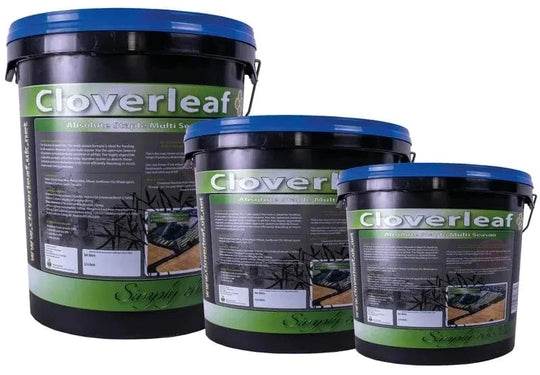 Cloverleaf Absolute Staple Fish Pellets FishFood at Pond Supplies Essex Online Store 