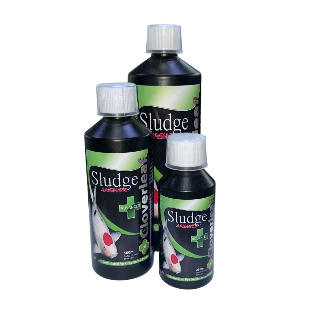 Cloverleaf Advanced Sludge Answer Treatment WaterConditioner at Pond Supplies Essex Online Store 