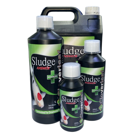 Cloverleaf Advanced Sludge Answer Treatment WaterConditioner at Pond Supplies Essex Online Store 