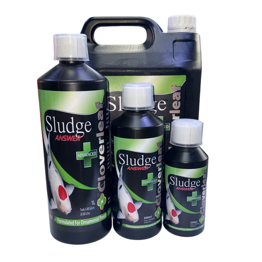 Cloverleaf Advanced Sludge Answer Treatment WaterConditioner at Pond Supplies Essex Online Store 