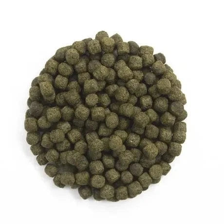 Cloverleaf African Cichlid Colour Diet 3mm Floating Pellets Aquarium fish food Cloverleaf