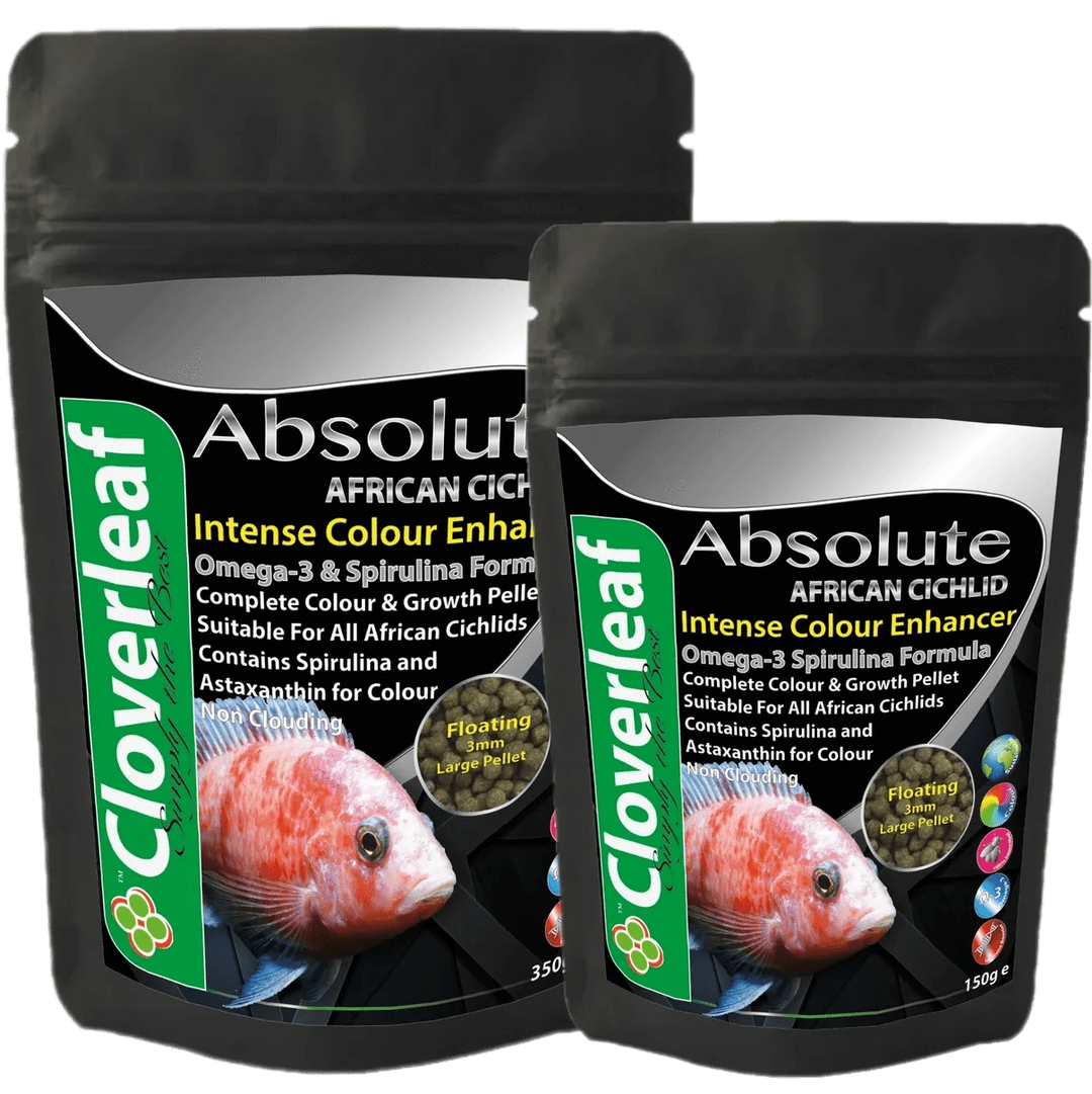 Cloverleaf African Cichlid Colour Diet 3mm Floating Pellets Aquarium fish food Cloverleaf