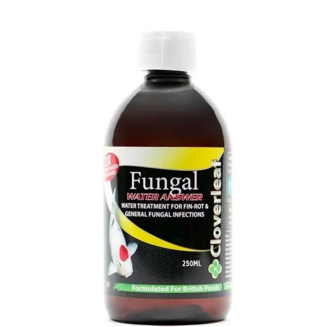 Cloverleaf’s 2x Concentrate Fungal Answer Pond Supplies at Pond Supplies Essex Online Store 