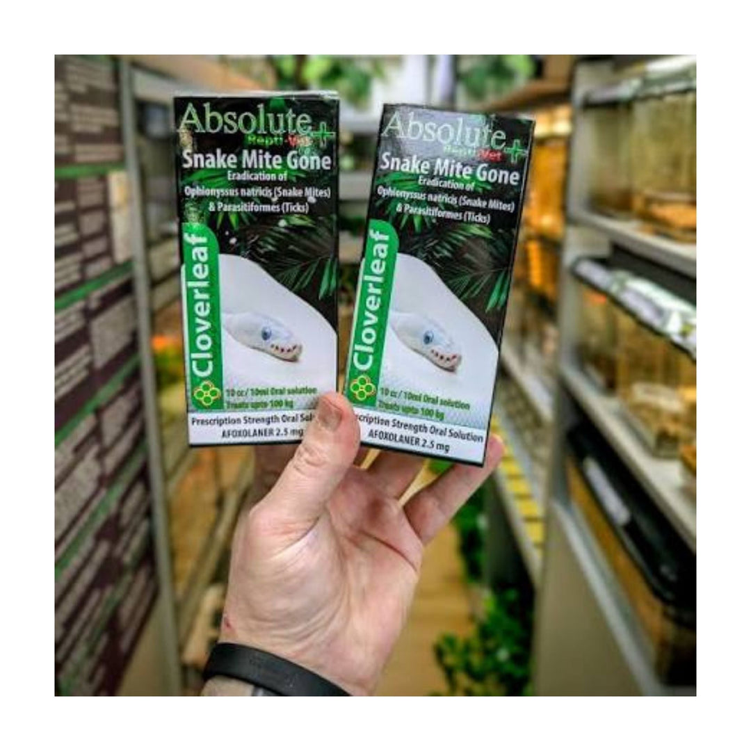 Cloverleaf Snake Mite Gone 10ml ReptileMedication at Pond Supplies Essex Online Store 