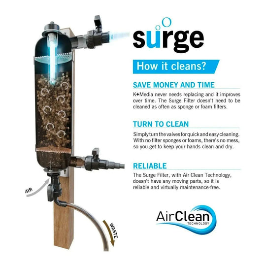 Evolution Aqua Surge Filter +UV Pressure filter Evolution Aqua