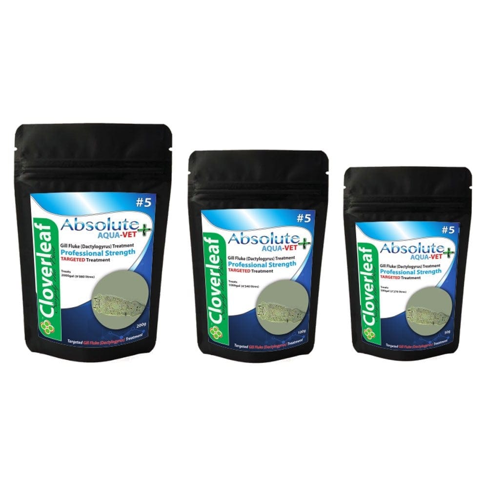 Gill Flukes (Dactylogyrus) AquaVet Treatment Pond Supplies Pond Supplies Essex