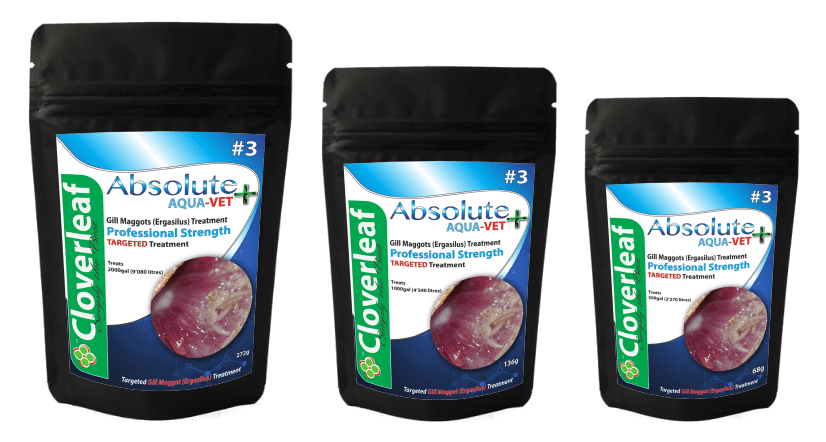 Gill Maggots (Ergasilus) AquaVet Treatment Pond Supplies Cloverleaf