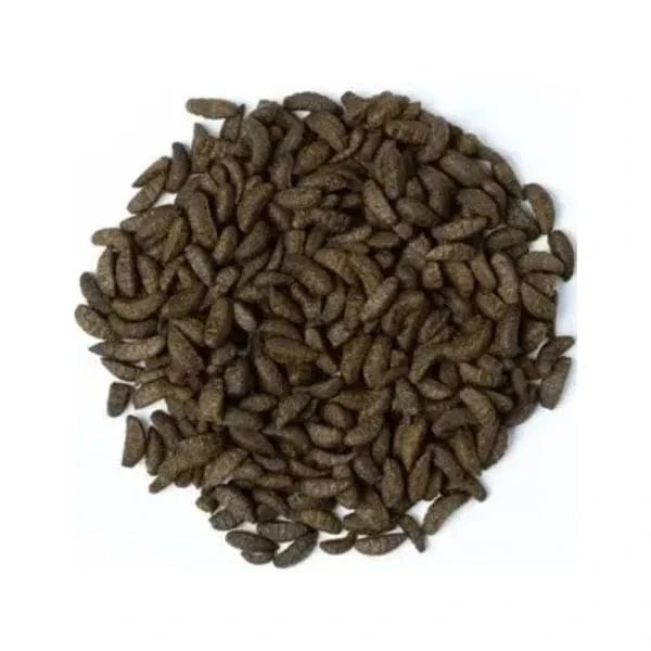 Koi Treats Insect Larvae Shaped Handful amount outside of original Cloverleaf packaging. 