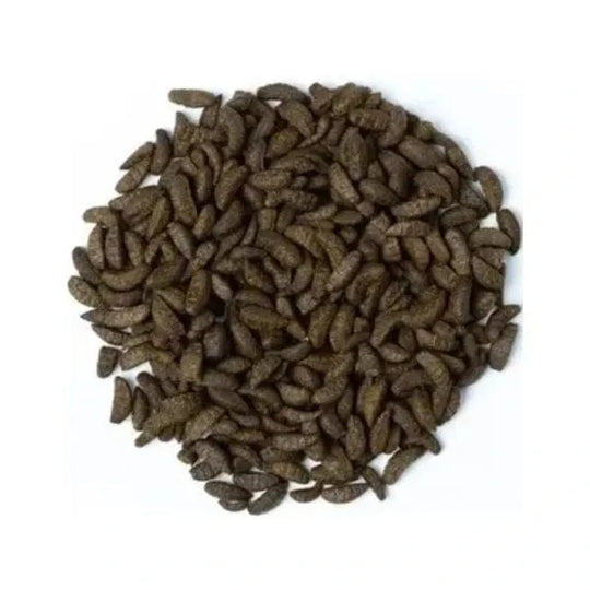 Cloverleaf Absolute Koi Treats Insect Larvae Shaped 850g Koi Treat at Pond Supplies Essex Online Store 