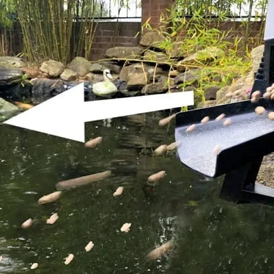 PondXpert auto fish Feeder in action flinging fish pellets into koi pond hands free. Pond Supplies Essex 