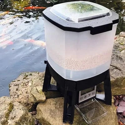 PondXpert auto fish Feeder sitting on edge of rockery of koi pond.