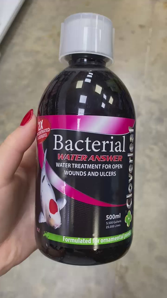 Cloverleaf 2x Concentrate Bacterial Answer 500ml being slowly rotated showcasing the bottle 