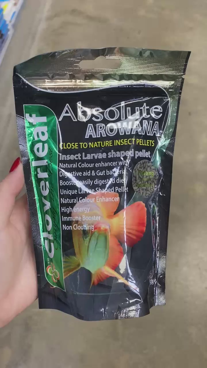 Cloverleaf Arowana Bug Diet 6.0-8.0mm Floating Pellets 500g, 350g and 150g bags next to eachother. VIDEO