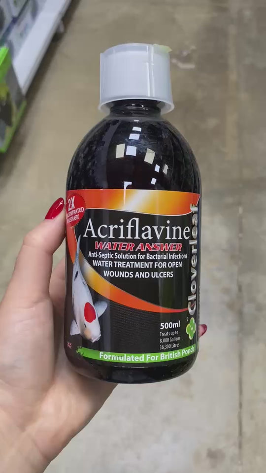 Cloverleaf’s 2x Concentrate Acriflavine Answer 500ml bottle being slowly spun on an angle. 
