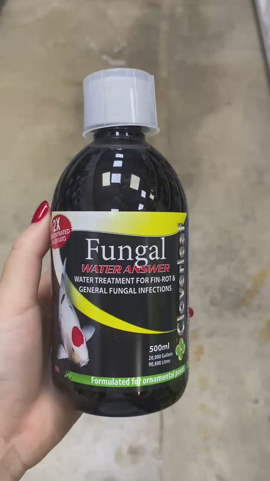 Cloverleaf’s 2x Concentrate Fungal Answer 500ml Bottle rotation of water conditioner vid 