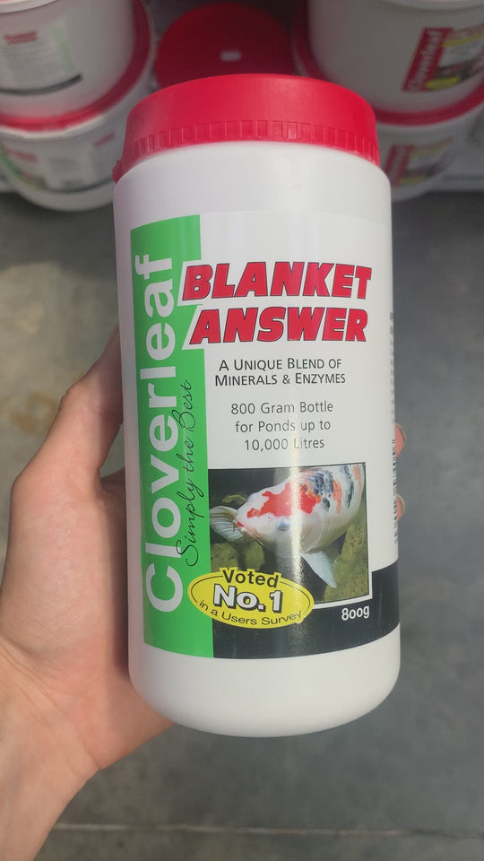 Cloverleaf’s Blanket Answer treatment 800g Showcase video 