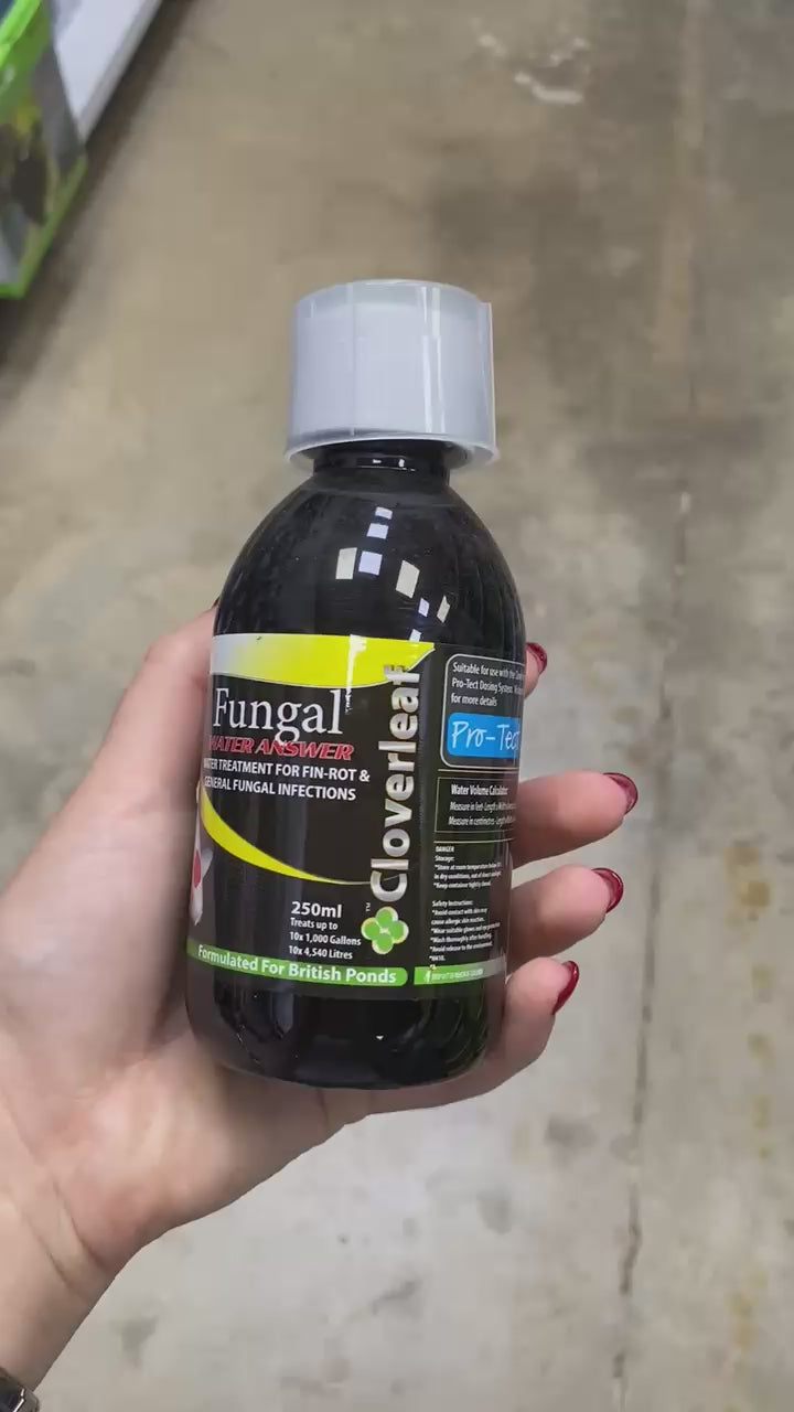 Cloverleaf’s 2x Concentrate Fungal Answer Pond Supplies Cloverleaf Video