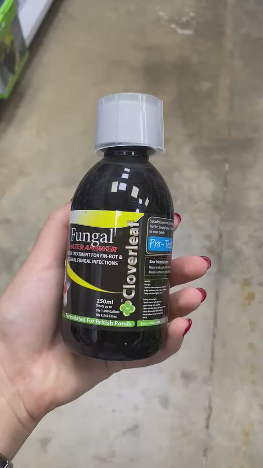 Cloverleaf’s 2x Concentrate Fungal Answer Pond Supplies Cloverleaf Video