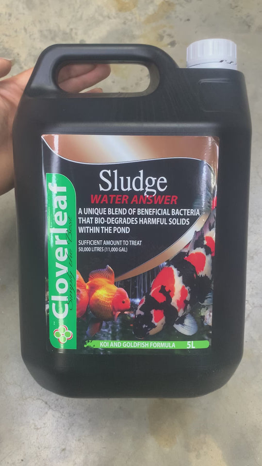 Cloverleaf Absolute Sludge Answer 250ml 500ml 1Ltr at PondSuppliesEssex Online Store  5Ltr Video