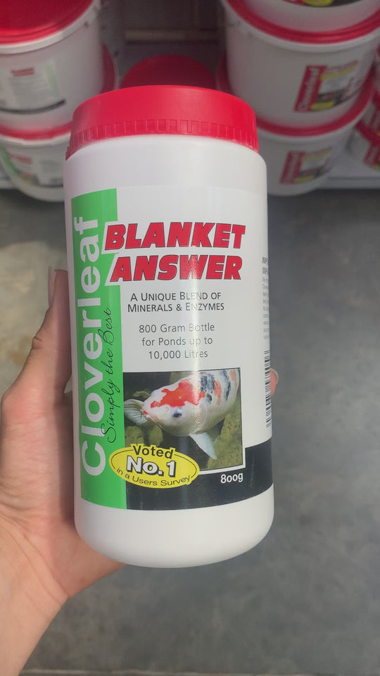 Cloverleaf’s Blanket Answer treatment 800g Showcase video 