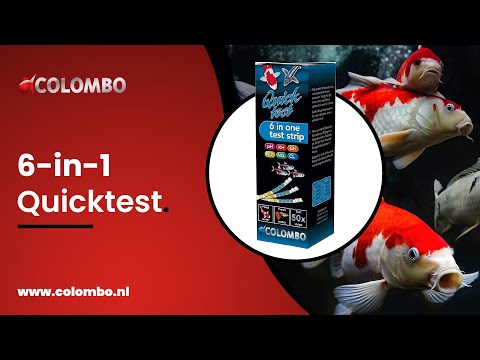 Colombo Quicktest 6-in-1 Water Test Strips (Pk of 50) showcase & instruction video by Colombo YouTube channel. 