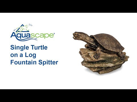 Aquascape Turtle on Log Pond Water Spitter