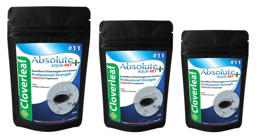 RoundWorm (Trichostrongylus ova) AquaVet Treatment Pond Supplies Cloverleaf