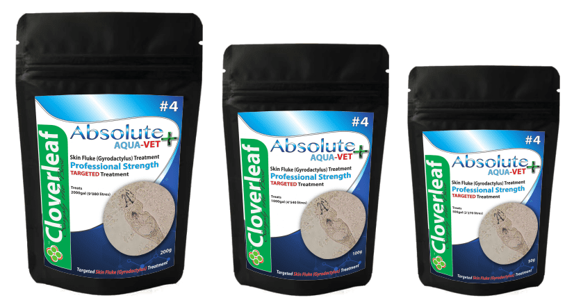 Skin Fluke (Gyrodactylus) AquaVet Treatment Pond Supplies Cloverleaf