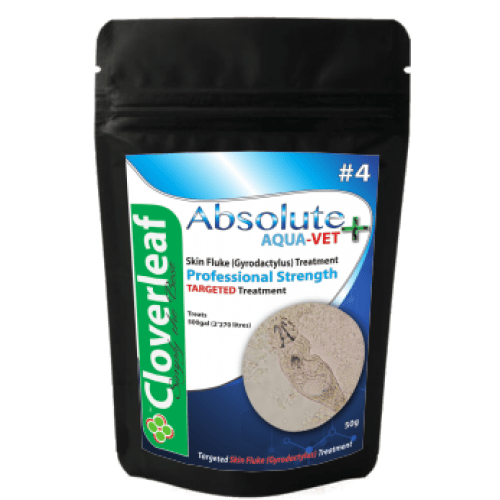 Skin Fluke (Gyrodactylus) AquaVet Treatment Pond Supplies Cloverleaf